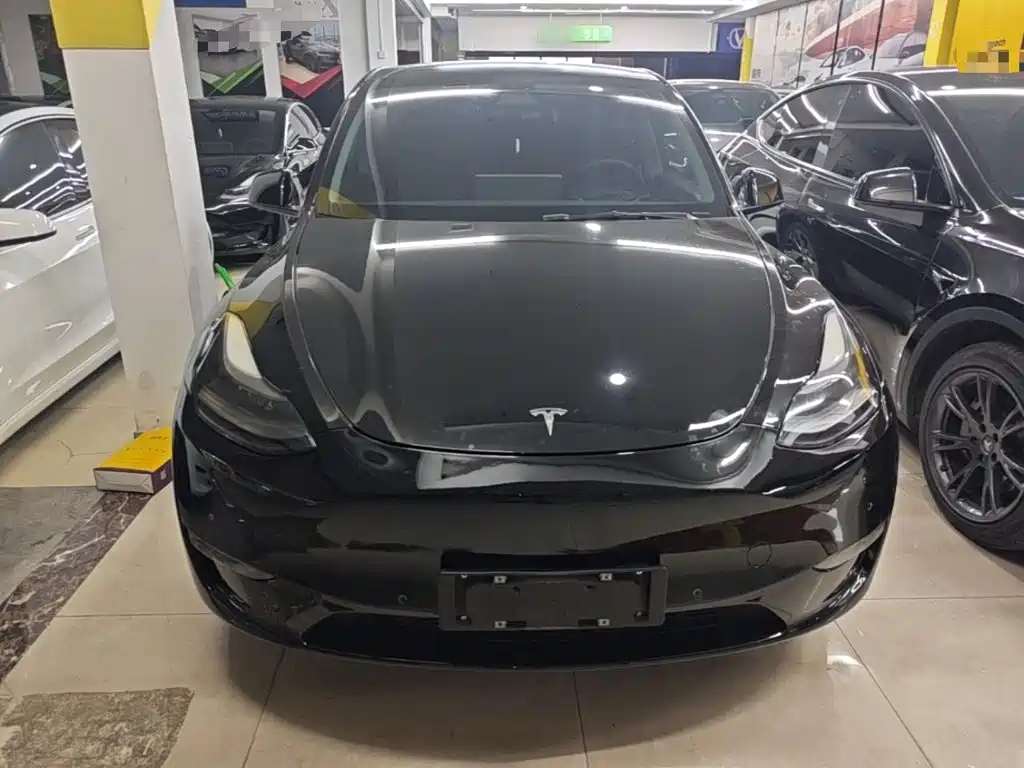 Tesla Model Y — миниатюра 3