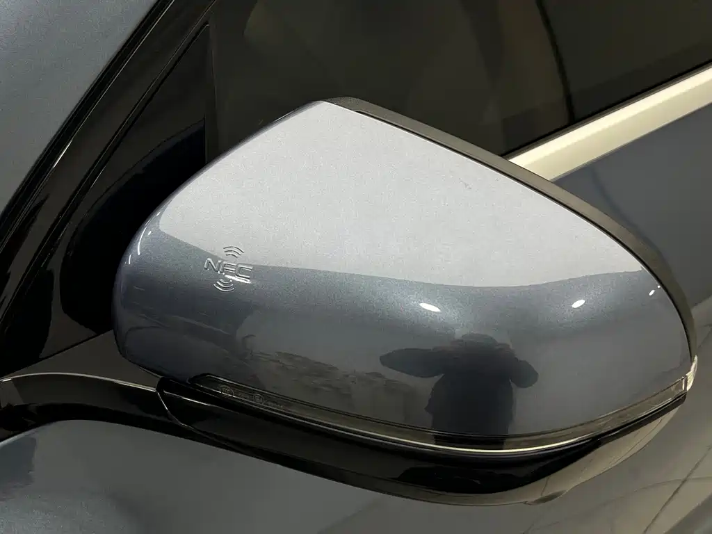 BYD SONGJIANG NEW ENERGY