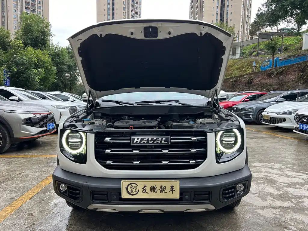 HAVAL BIG DOG