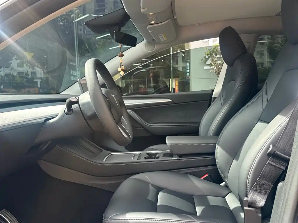 Tesla Model Y — миниатюра 4