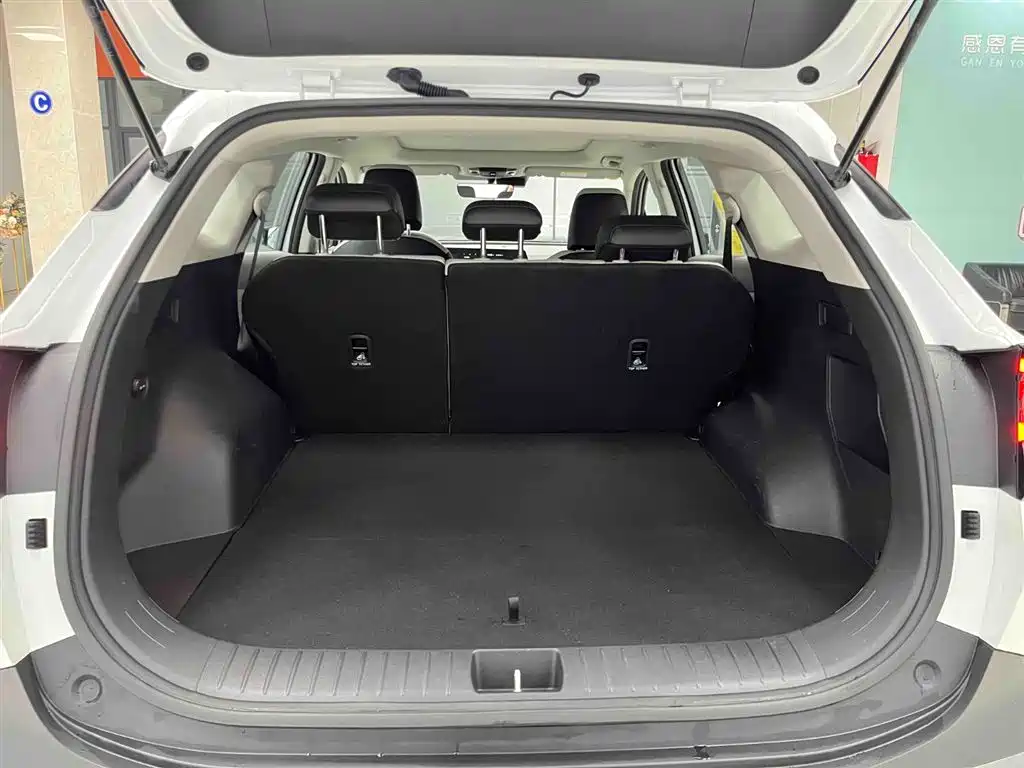 KIA LION PLATINUM EXPANDS THE WORLD