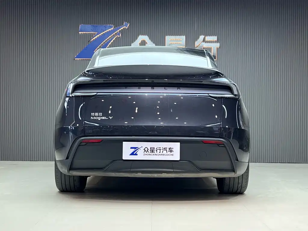 Tesla Model Y — миниатюра 3