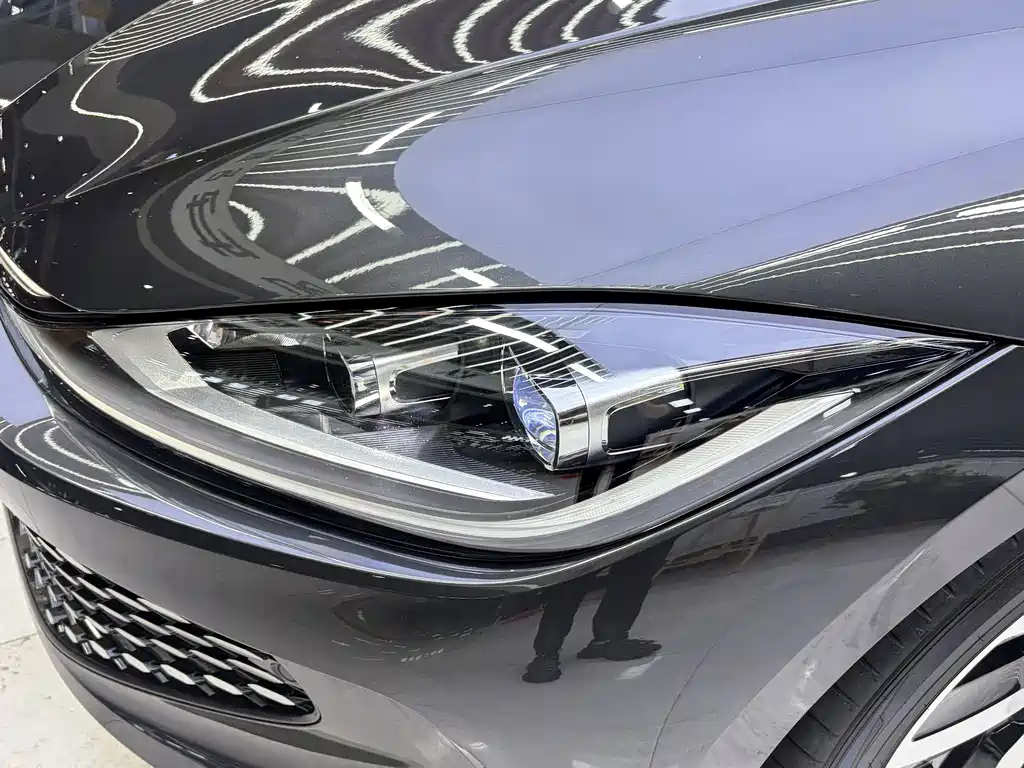 Volkswagen Lamando — миниатюра 7