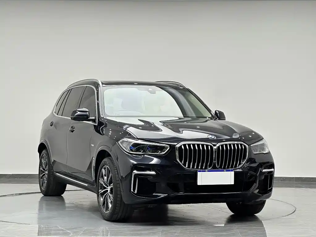BMW X5 — миниатюра 2