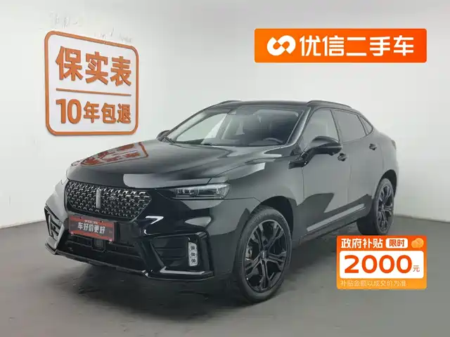 WEI PAI WEI BRAND VV7 GT