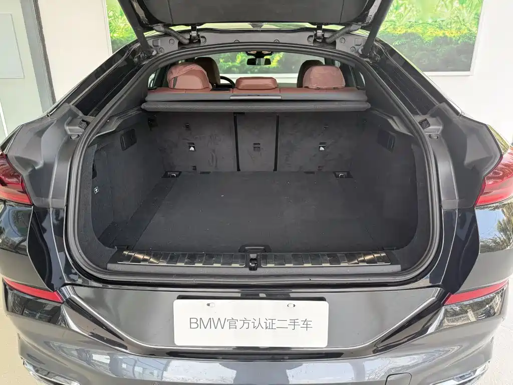 BMW X6 — миниатюра 12