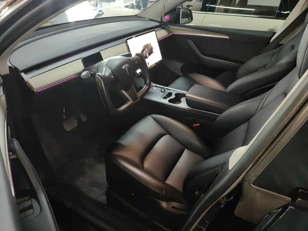 Tesla Model Y — миниатюра 15