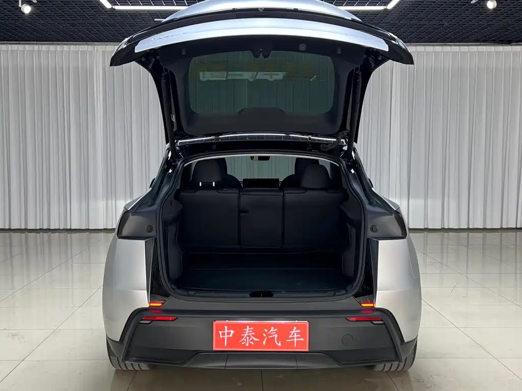 Tesla Model Y — миниатюра 6