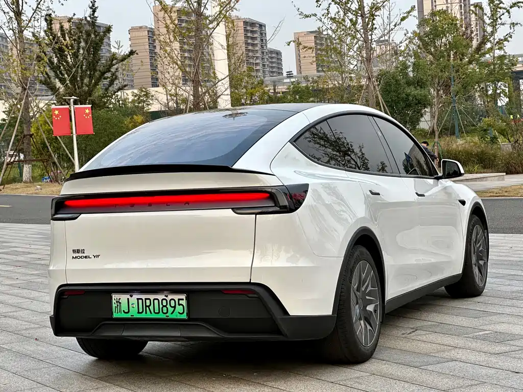 Tesla Model Y L — миниатюра 6