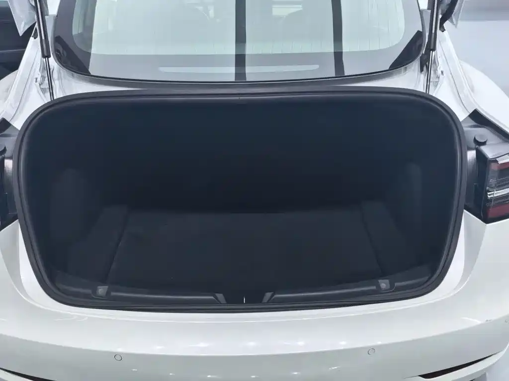 Tesla Model 3 — миниатюра 12