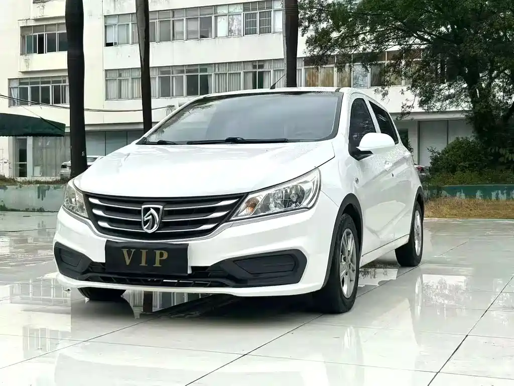 Baojun 310