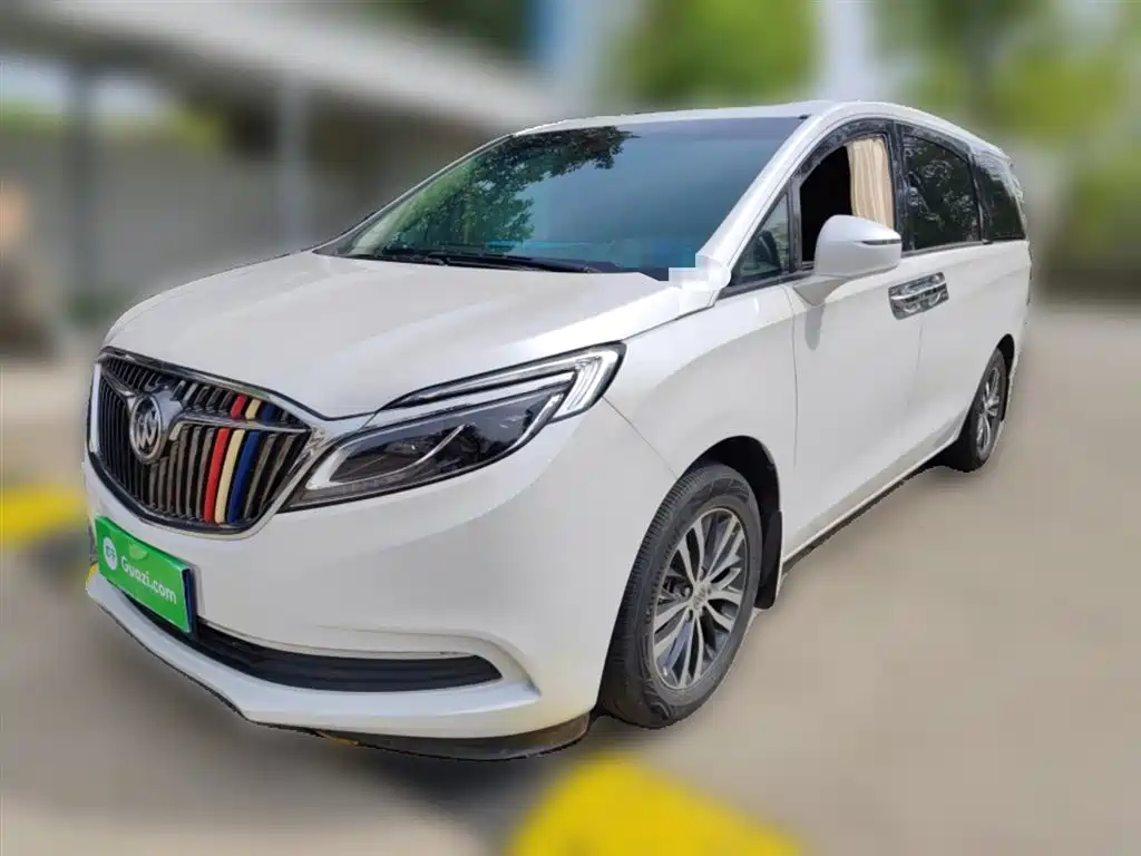 Buick GL8 2018 ES 28T Luxury VI