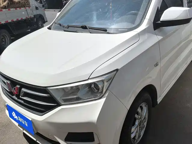 2019 Wuling Motors Hongguang