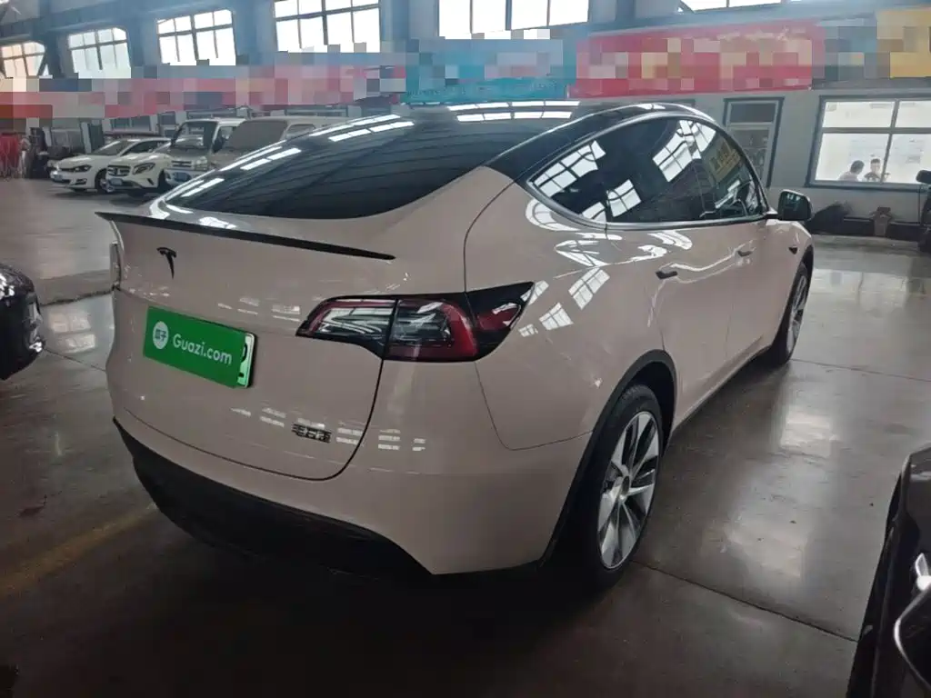 Tesla Model Y — миниатюра 7