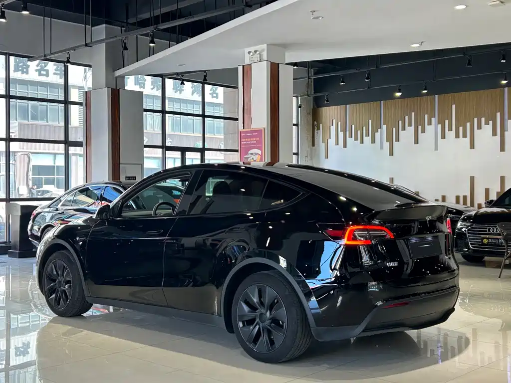 Tesla Model Y — миниатюра 27
