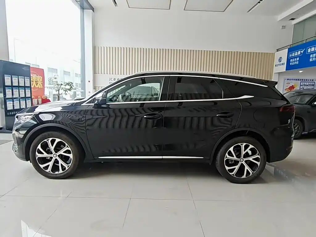BYD Tang New Energy — миниатюра 4