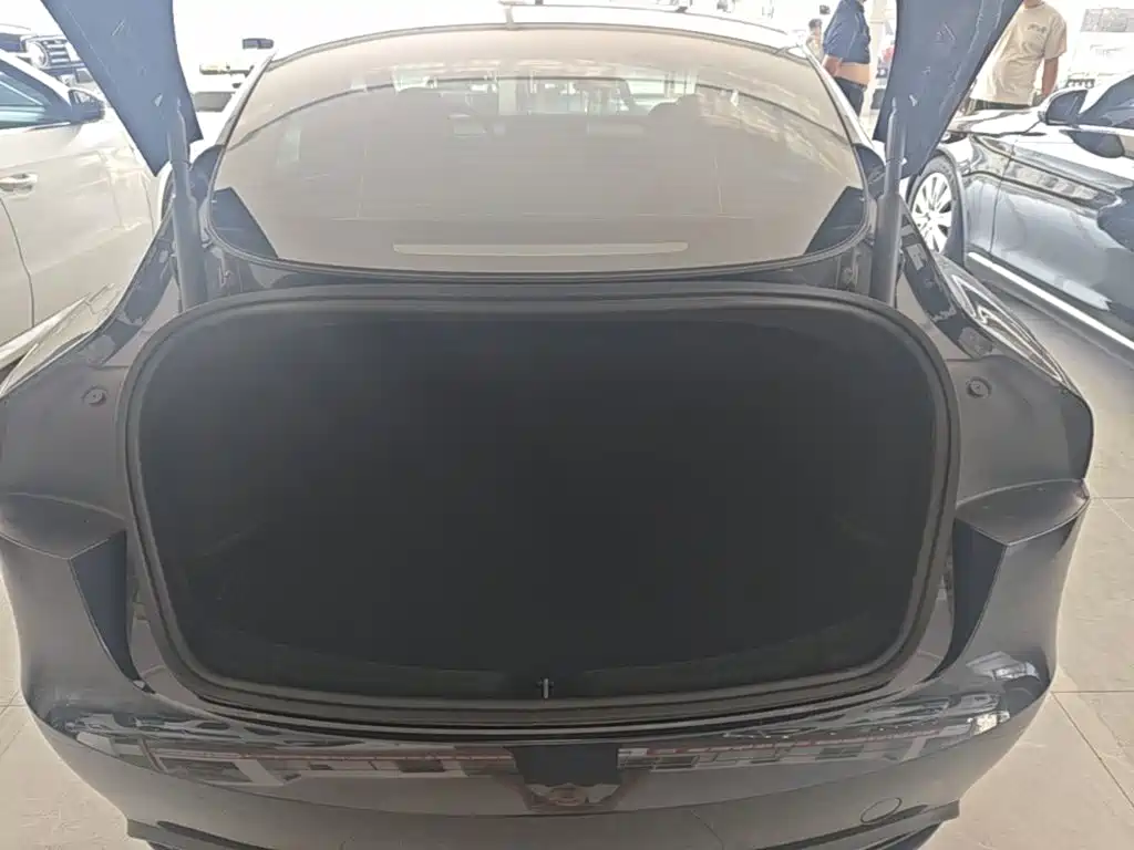 Tesla Model 3 — миниатюра 19