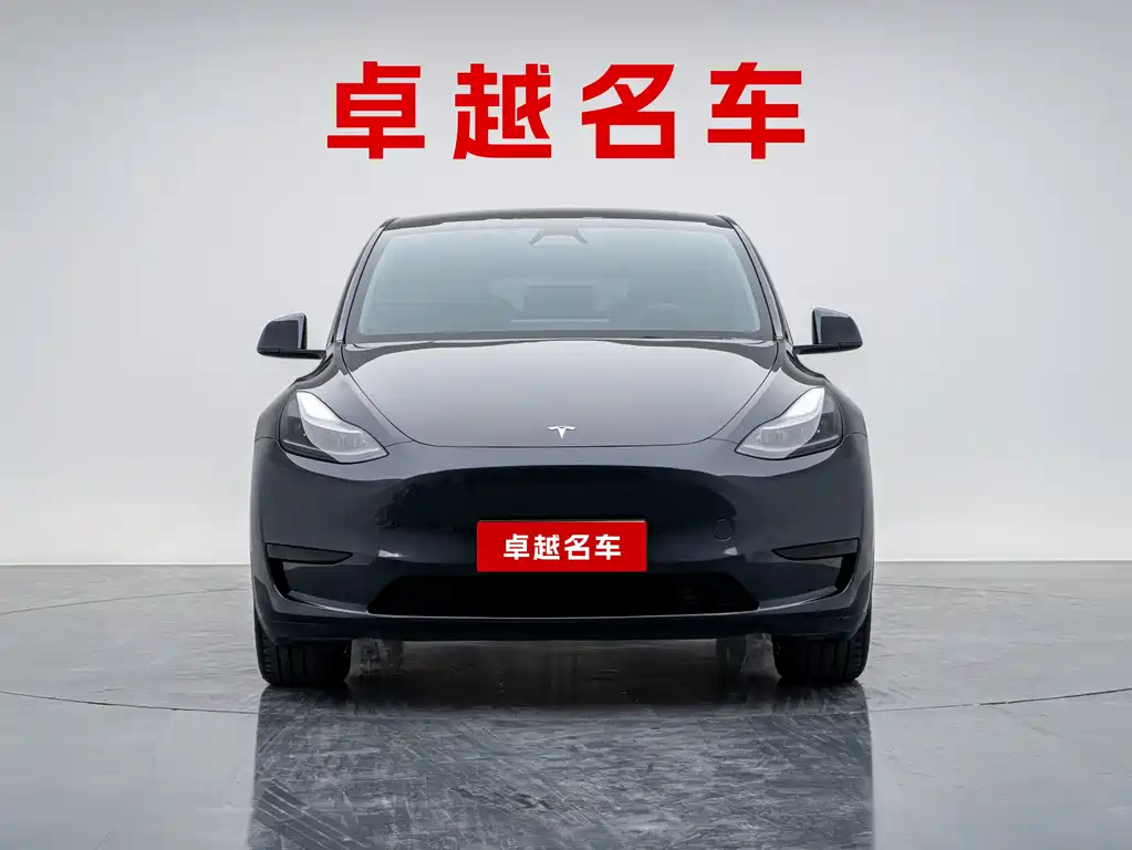 Tesla Model Y — миниатюра 2