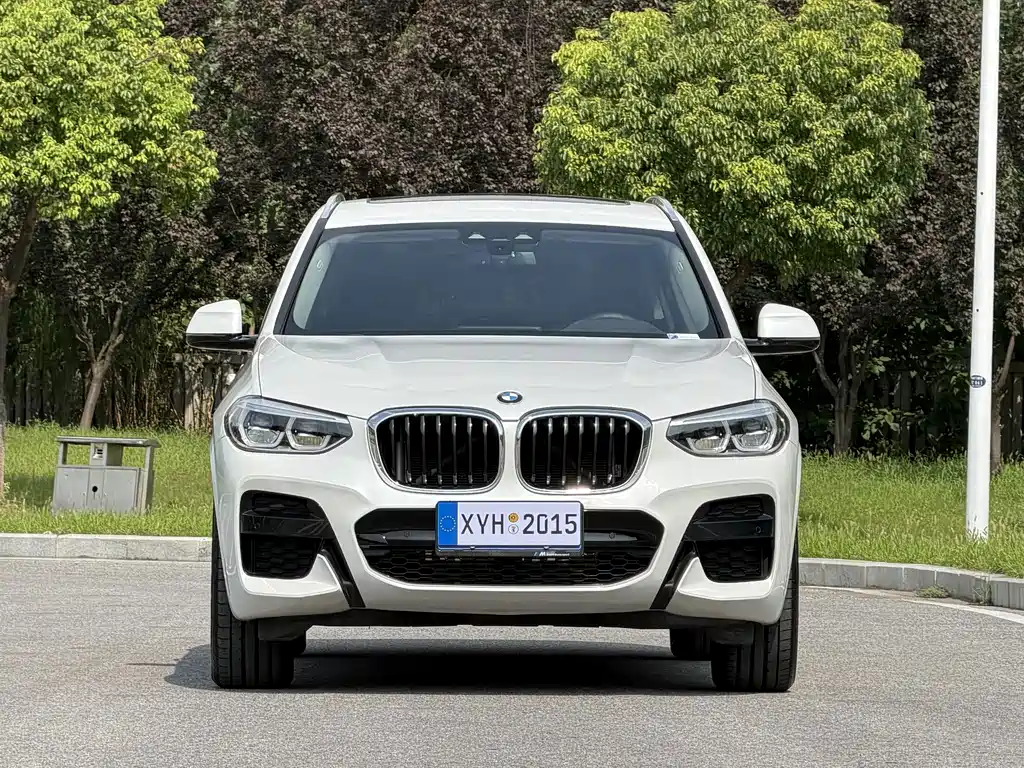 BMW X3 — миниатюра 2