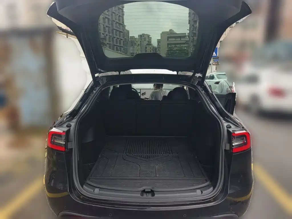 Tesla Model Y — миниатюра 15
