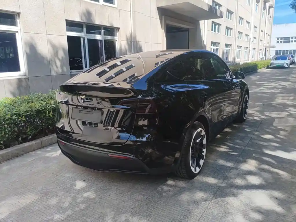 Tesla Model Y — миниатюра 7