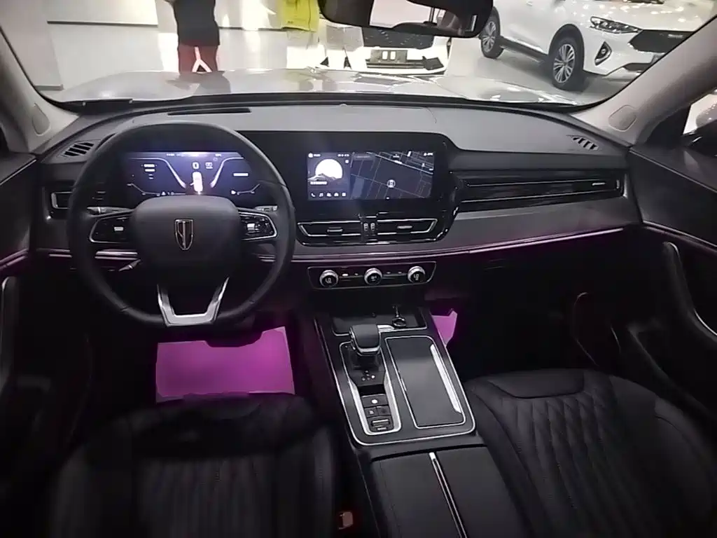 Hongqi Hongqi HS5 — миниатюра 10