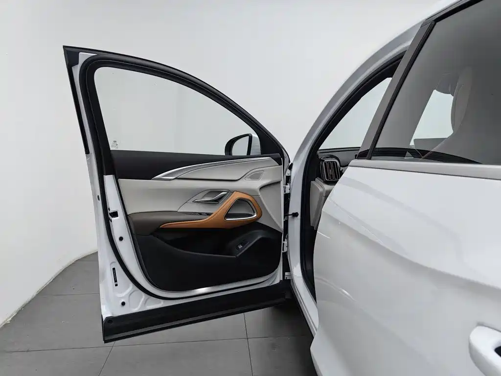 BYD Pro New Energy — миниатюра 8