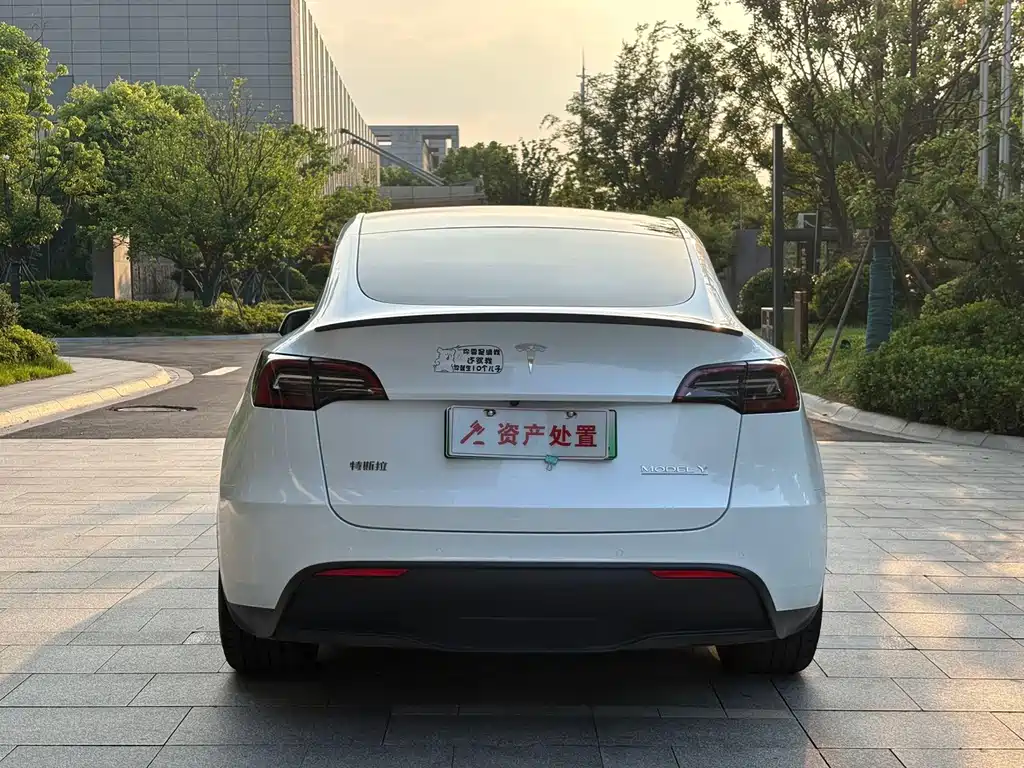 Tesla Model Y — миниатюра 5