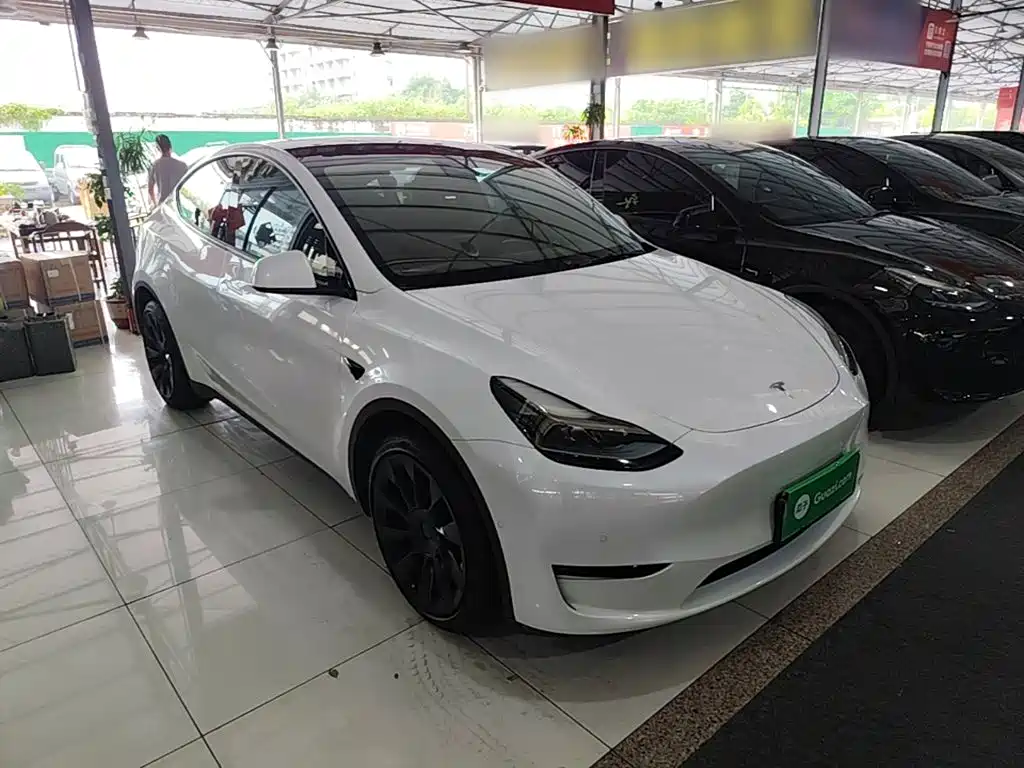 Tesla Model Y — миниатюра 4