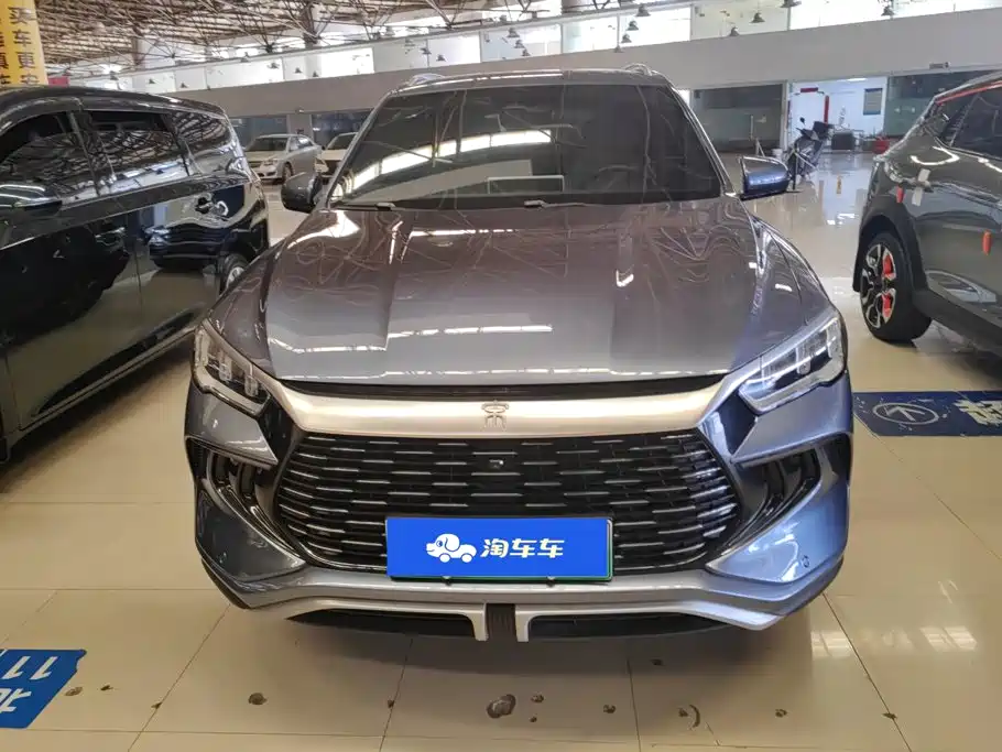 BYD Pro New Energy — миниатюра 2
