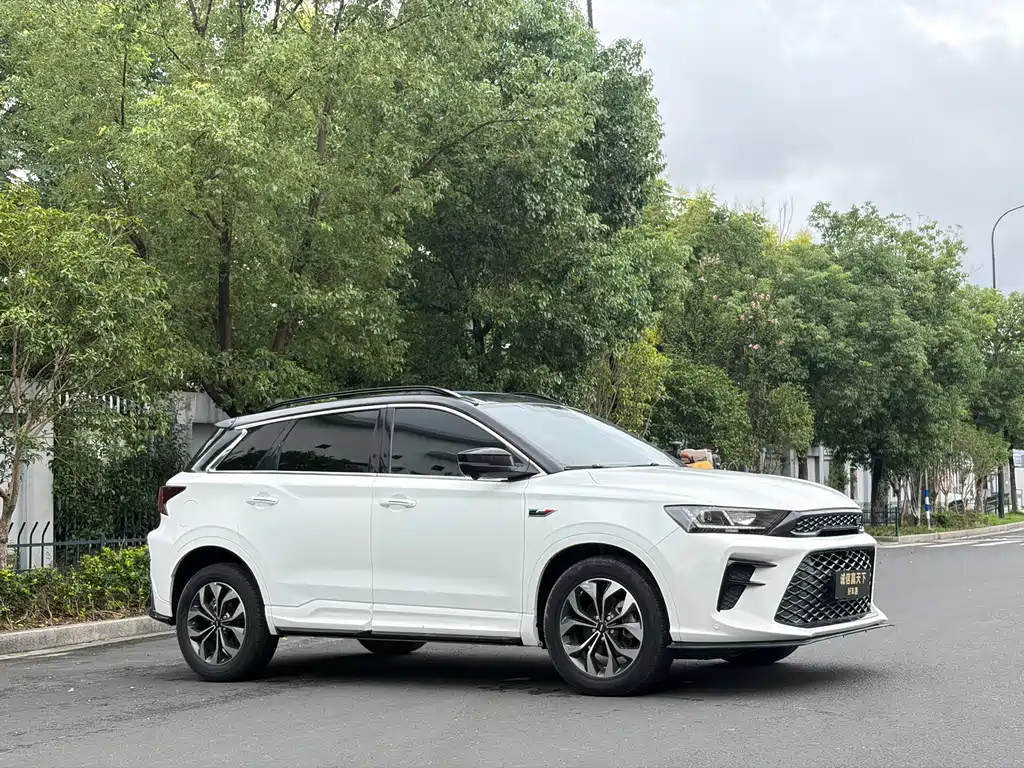 SWM SWM G01 — миниатюра 4