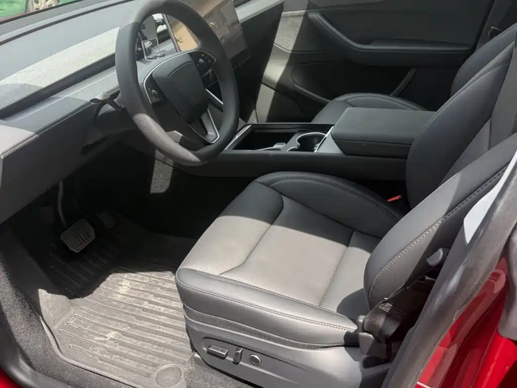 Tesla Model Y — миниатюра 6