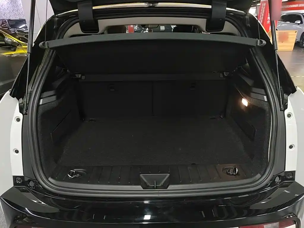BMW i3 (Import) — миниатюра 19