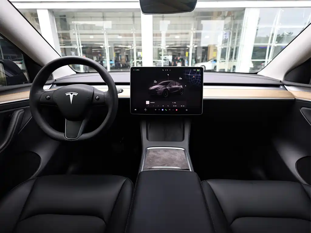 Tesla Model Y — миниатюра 18