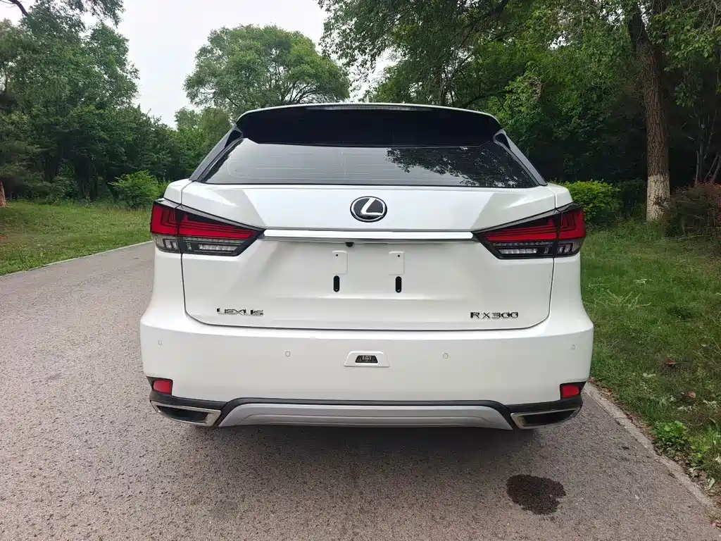 Lexus RX — миниатюра 5