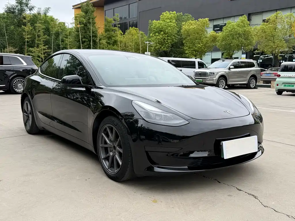 Tesla Model 3 — миниатюра 3