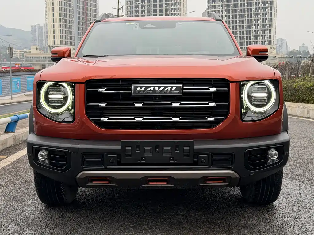 HAVAL BIG DOG