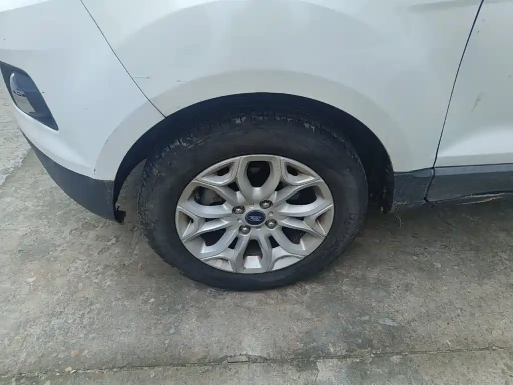 Ford Ecosport — миниатюра 23