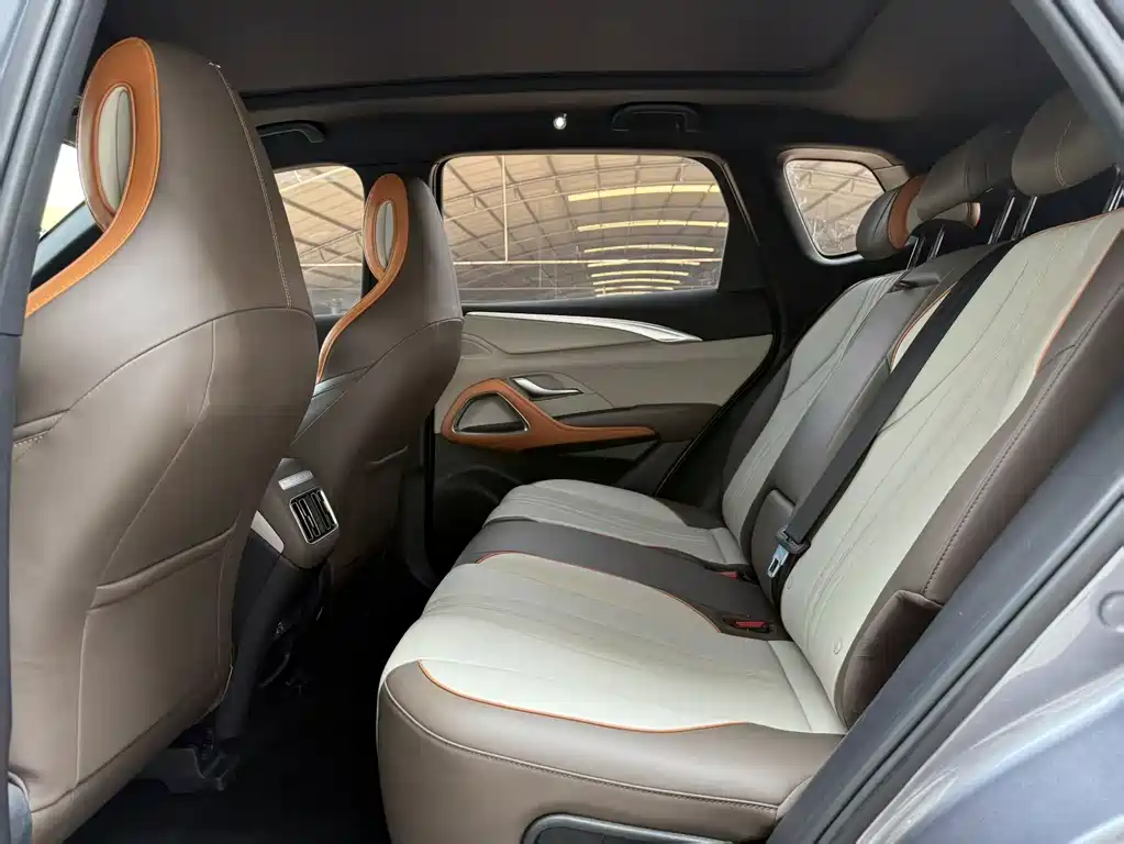BYD Pro New Energy — миниатюра 9