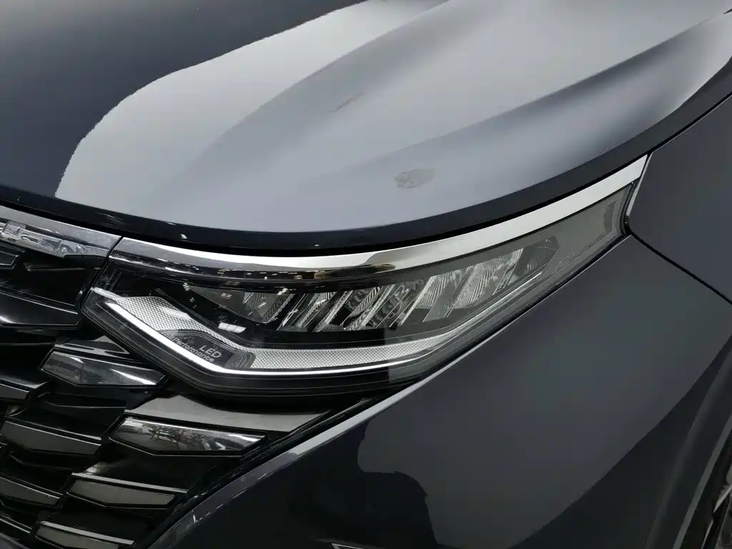 Hyundai Custo — миниатюра 7