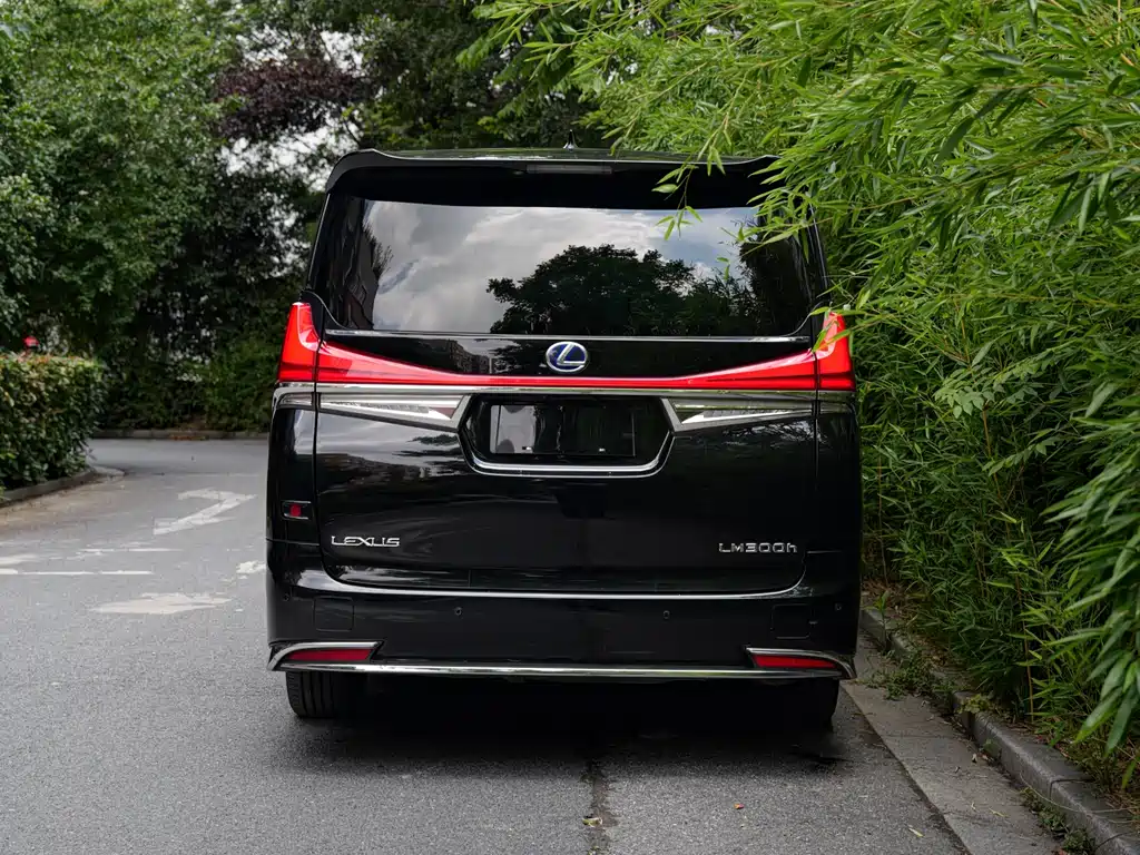Lexus LM 2020 300h мест