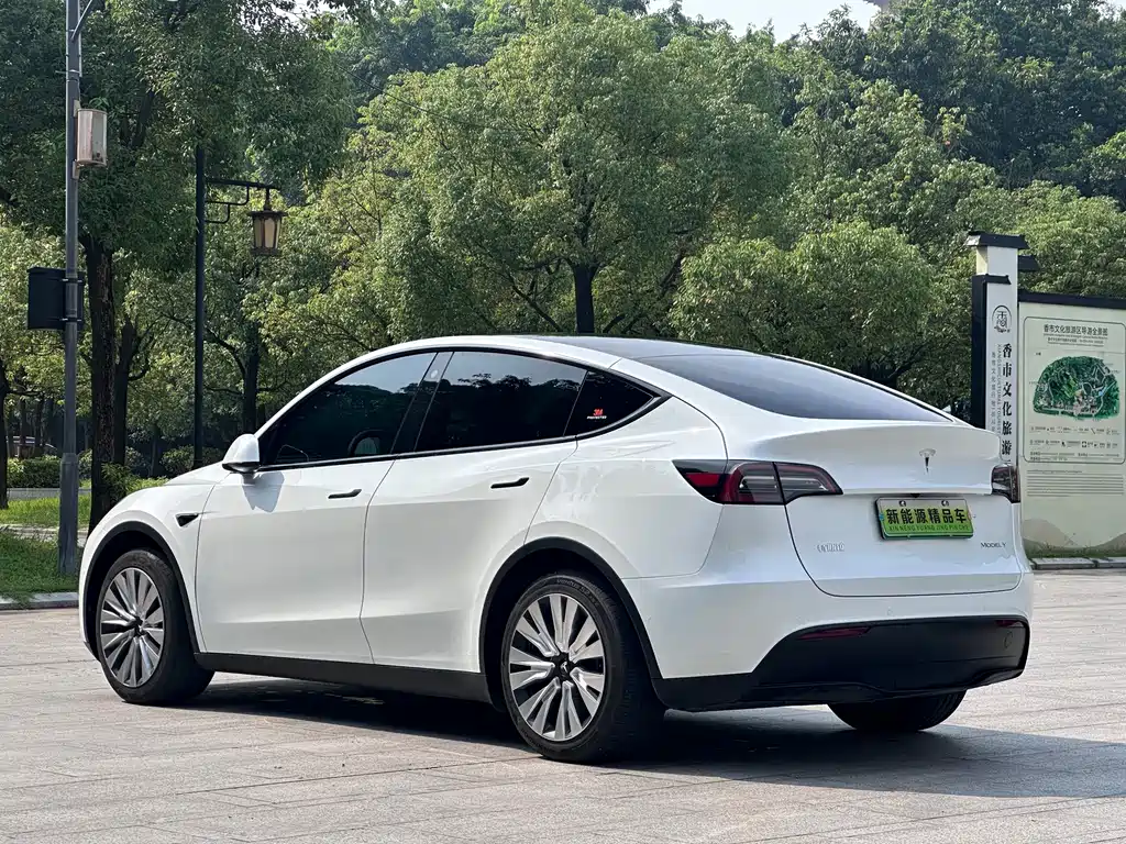 Tesla Model Y — миниатюра 7