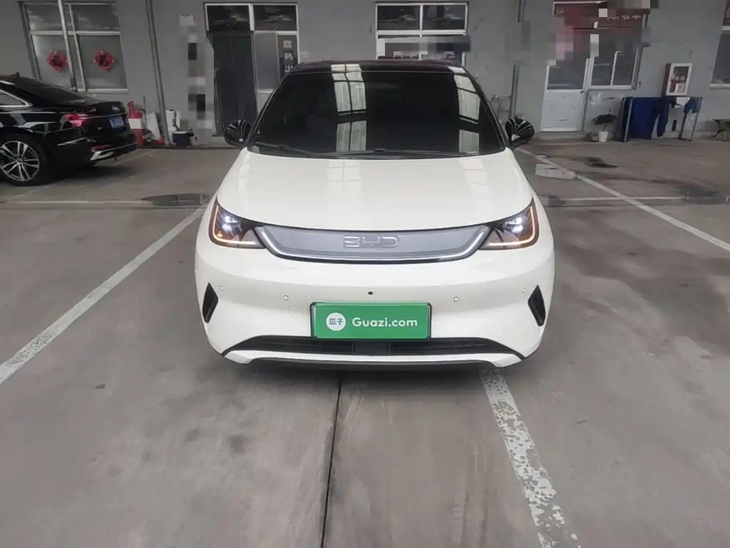 BYD Dolphin — миниатюра 3
