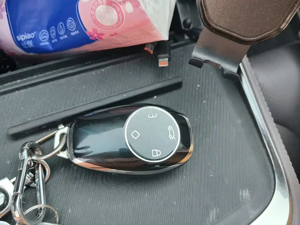 Leapmotor Leapmotor C11 — миниатюра 12