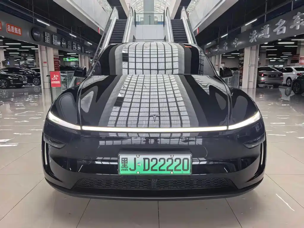 Tesla Model Y — миниатюра 2