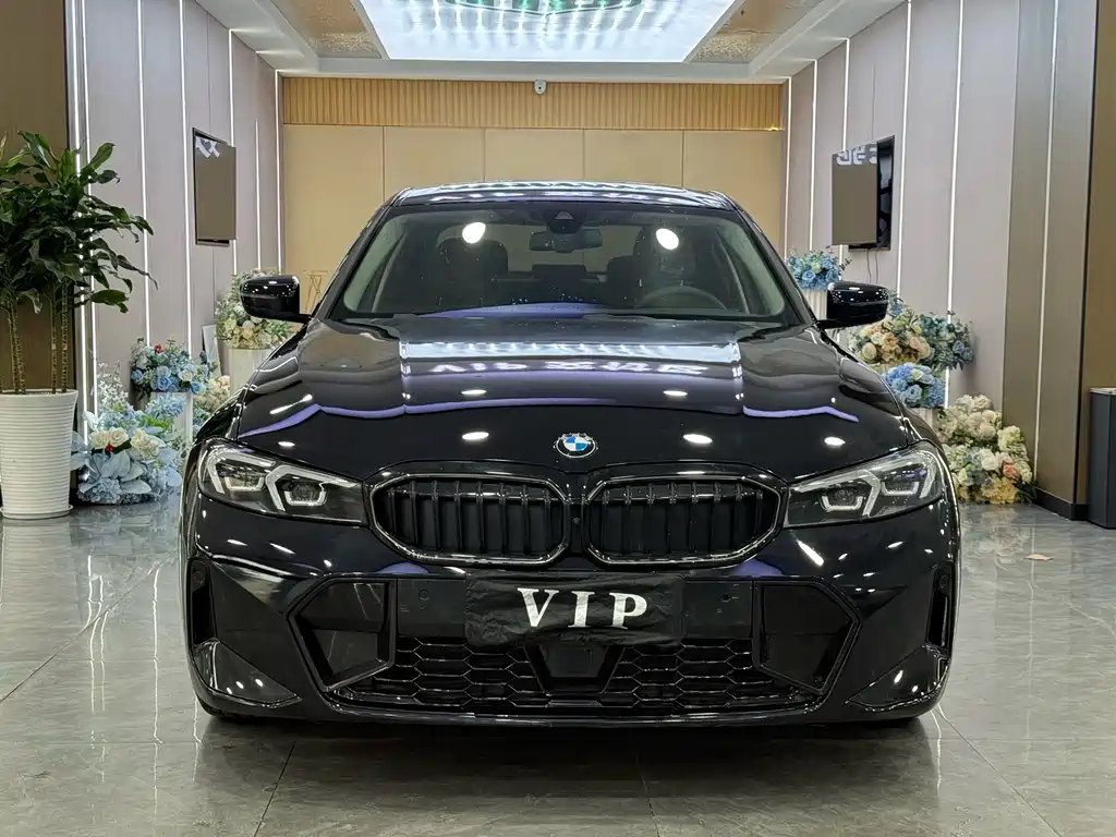 BMW 3 Series — миниатюра 2