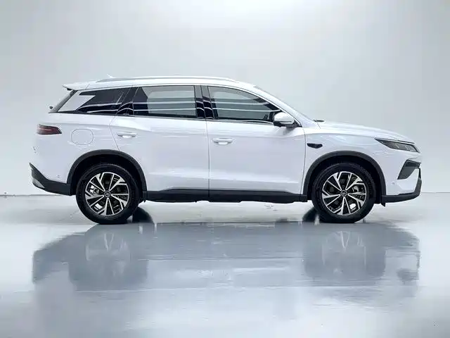 BYD Pro — миниатюра 8
