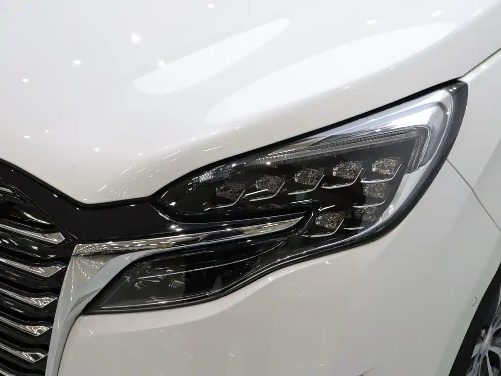 Buick GL8 — миниатюра 18
