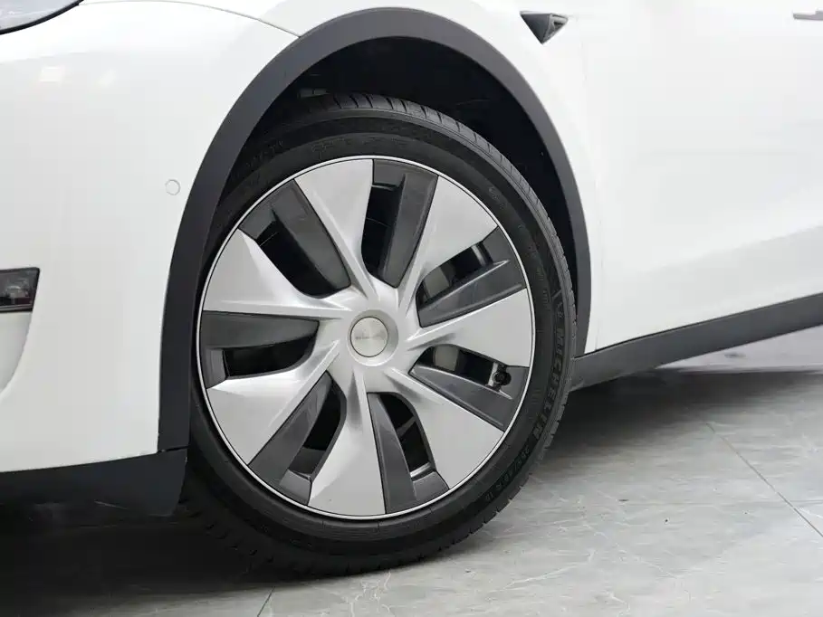 Tesla Model Y — миниатюра 3