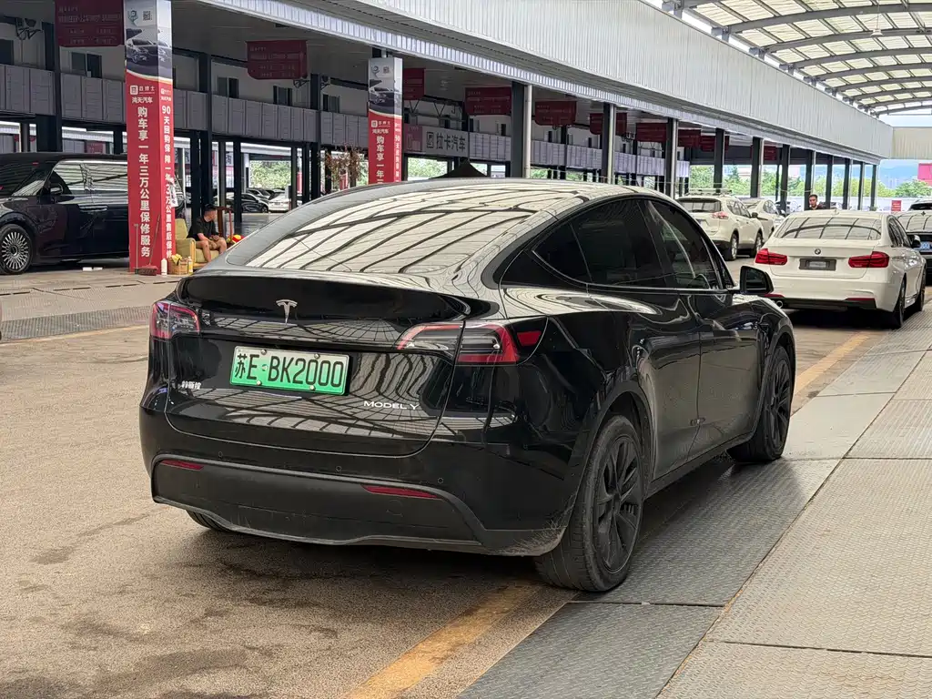 Tesla Model Y — миниатюра 7